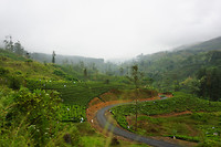 DSC08554