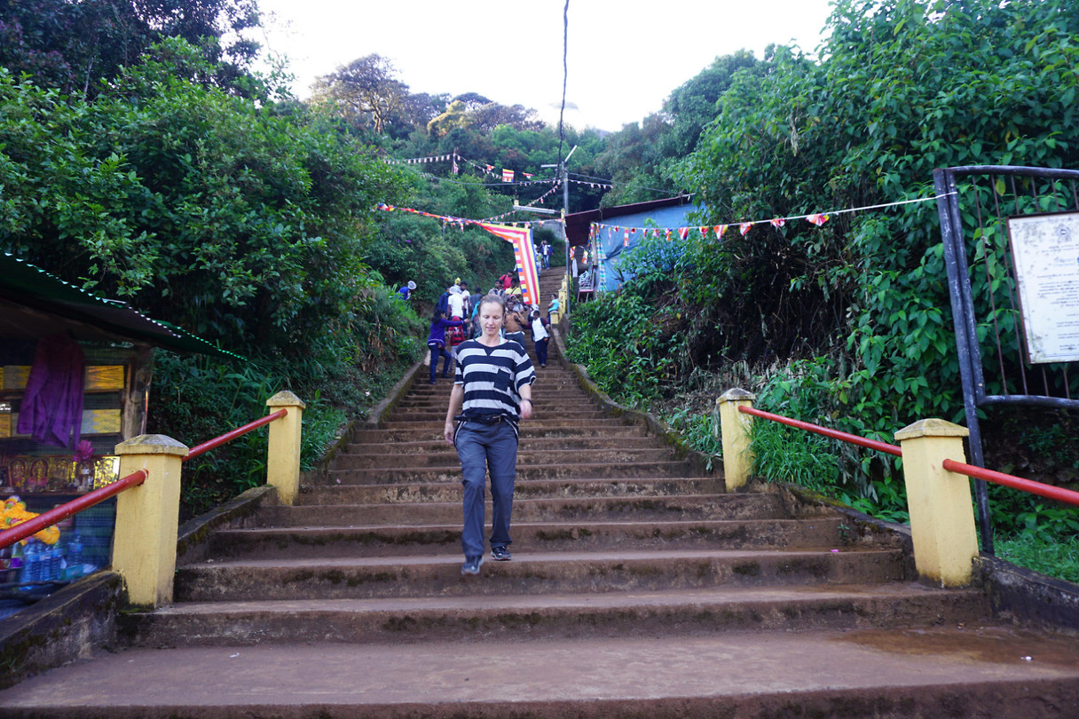 DSC08645