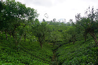 DSC08680