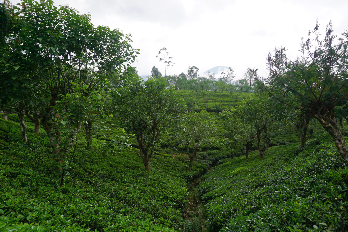 DSC08680