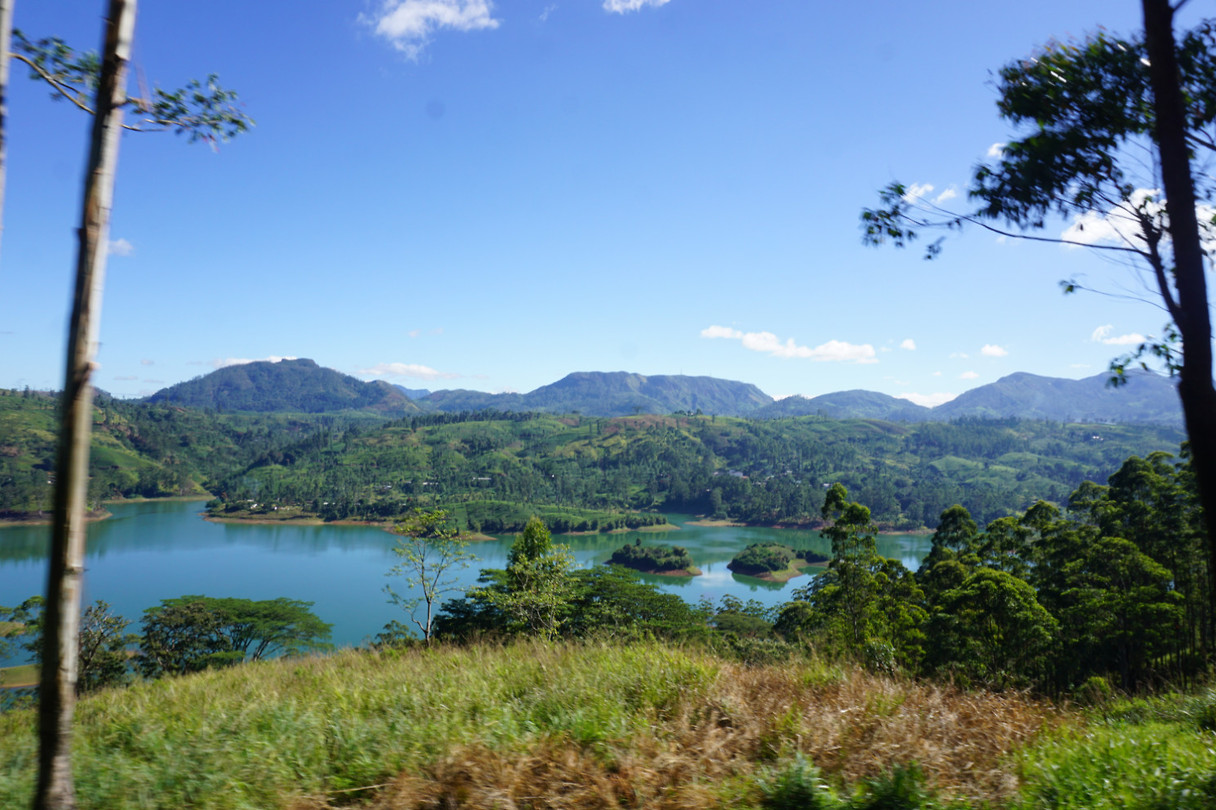 DSC08690