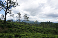 DSC08711
