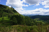 DSC08719