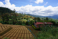 DSC08722