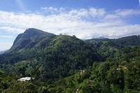 DSC08749