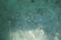 DSC00014