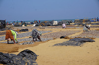 DSC00088