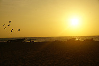 DSC00095
