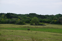 DSC08959
