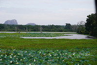 DSC08982