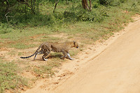 DSC09000