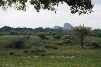 DSC09051