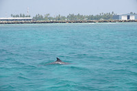DSC09355