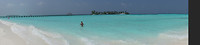 DSC09507