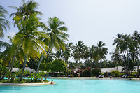 DSC09519