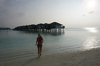 DSC09654