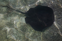 DSC09761