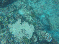 G0341276
