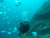 GOPR1211
