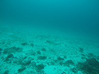 GOPR1242