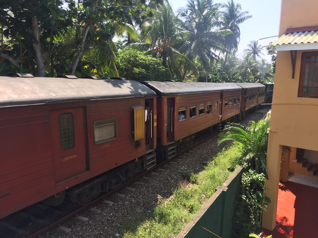 IMG_9955