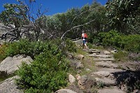Wandeling naar the Horn lookout