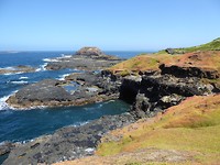 Philip Island Nobbies