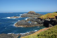 Philip island