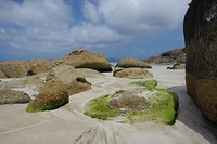 Squeeky beach
