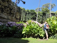 Sinkhole garden bij Mount Gambier