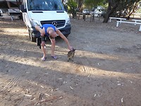 Zomaar op de camping een aai over zijn bolletje