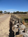 Spikes bridge