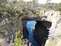 Tasman Arch