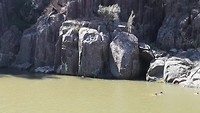 Plaatselijke jeugd in Cataract Gorge Tasmanie
