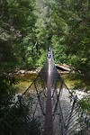Suspension bridge