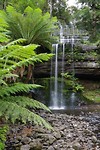 Russel falls