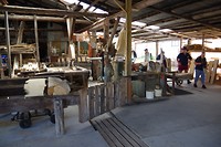 Huon pine saw mill