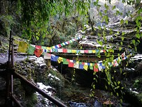 IMG_20200112_135707