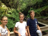 The Flume