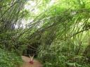 Wandeling naar waterval