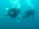 Op zoek naar Nemo (Jacqueline en Paul)