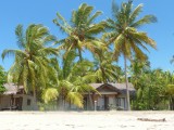 P1020281