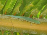 P1020389