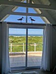 Looking out to sea
