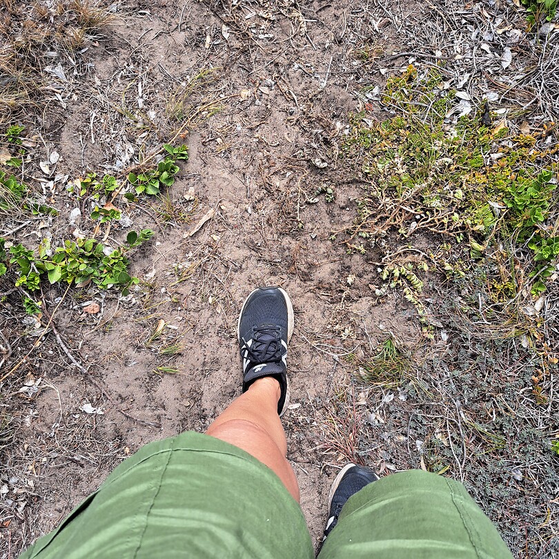 Underfoot