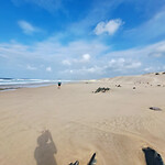 Strand Oyster Bay