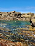 Ingrid swimming