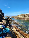 Rock Pool Tsitsikamma