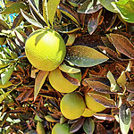 IMG_20240402_151340_928
