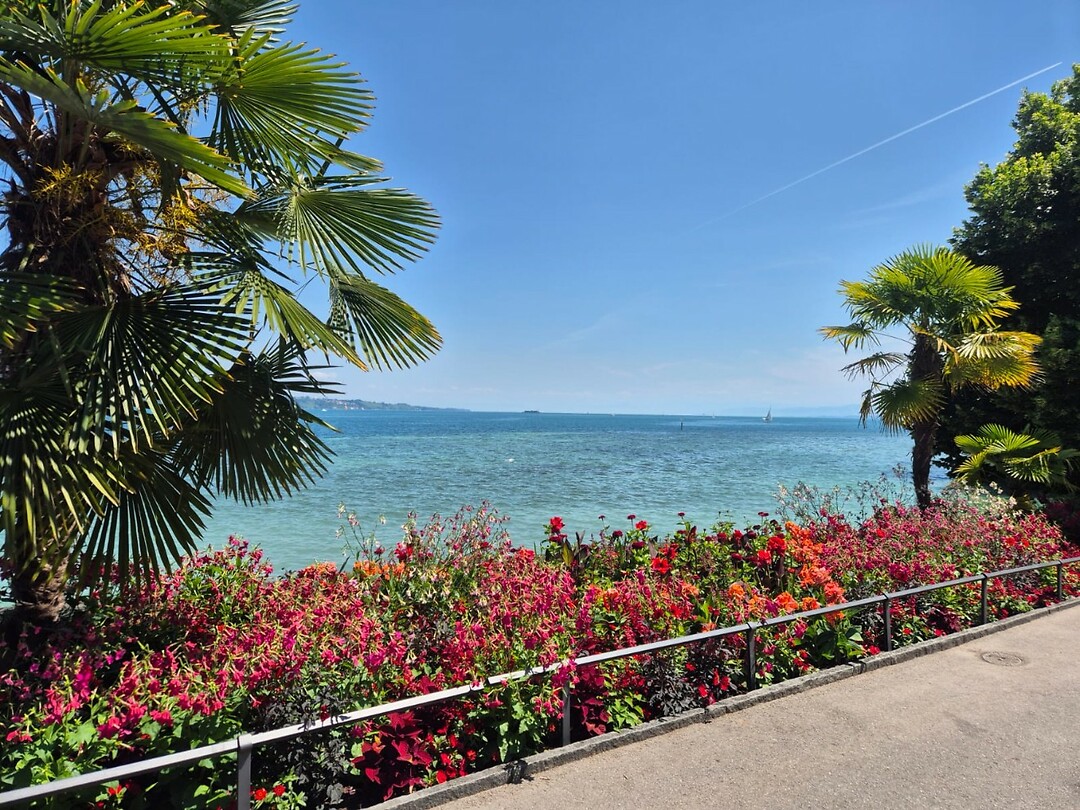 Maniau Shoreline - Lake Constance